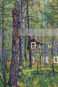 網(wǎng)貸逾期可以一次結(jié)清嗎(網(wǎng)貸逾期要求一次結(jié)清合法嗎)