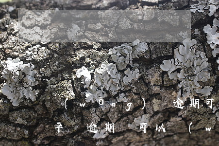 網(wǎng)貸逾期可以下款的平臺(其它平臺逾期還可以網(wǎng)貸嗎)