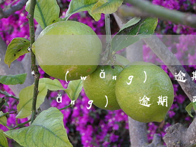 網(wǎng)貸逾期可以做借條么(網(wǎng)貸逾期還可以借錢的口子)