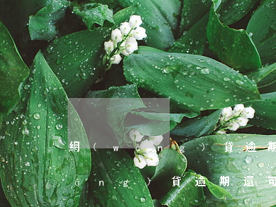 網(wǎng)貸逾期可以做股東嗎(網(wǎng)貸逾期還可以注冊(cè)公司嗎)