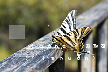 網(wǎng)貸逾期可以債權(quán)轉(zhuǎn)讓嗎(網(wǎng)貸逾期被轉(zhuǎn)賣)