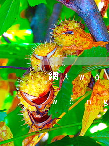 網(wǎng)貸逾期可以入職京東嗎(網(wǎng)貸逾期會影響京東白條使用嗎)