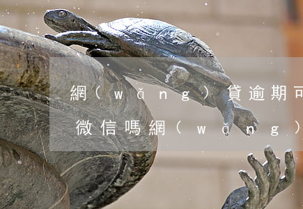 網(wǎng)貸逾期可以凍結(jié)微信嗎（網(wǎng)貸逾期被凍結(jié)微信怎么辦）