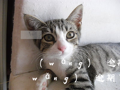 網(wǎng)貸逾期可以分期買房么(網(wǎng)貸逾期了可以貸款買房嗎)