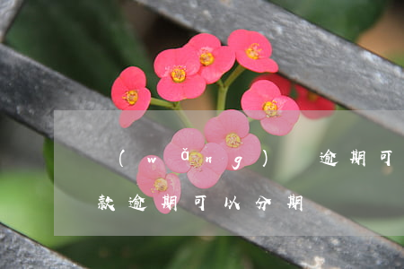 網(wǎng)貸逾期可以分期買房(銀行貸款逾期可以分期嗎)
