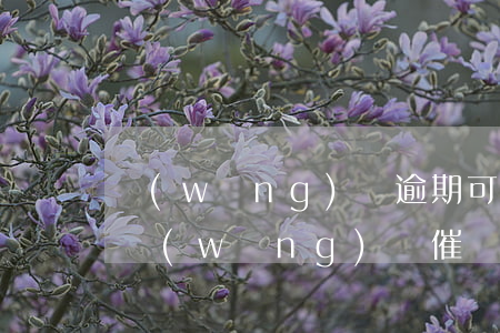 網(wǎng)貸逾期可以加微信催還款嗎(網(wǎng)貸催債加我微信)
