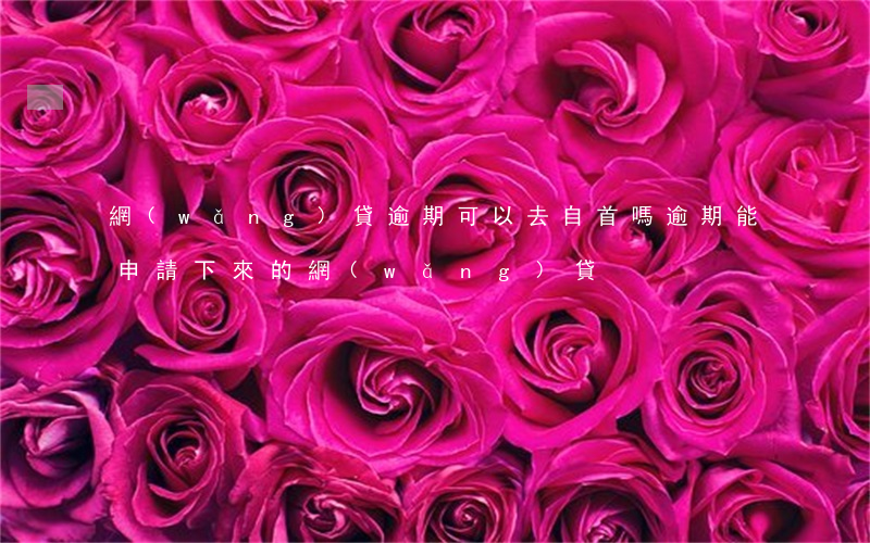 網(wǎng)貸逾期可以去自首嗎(逾期能申請下來的網(wǎng)貸)