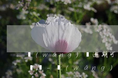 網(wǎng)貸逾期可以去辦理港澳通行證嗎-網(wǎng)貸逾期可以去辦理港澳通行證嗎