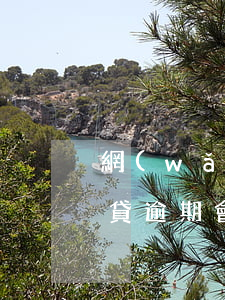 網(wǎng)貸逾期可以叫滴滴打車(滴水貸逾期會怎么樣)