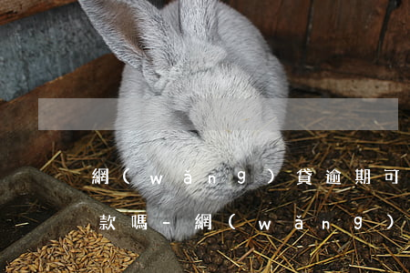 網(wǎng)貸逾期可以在銀行卡直接扣款嗎-網(wǎng)貸逾期可以在銀行卡直接扣款嗎安全嗎
