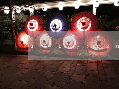 網(wǎng)貸逾期可以坐輪船嗎