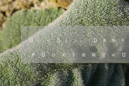 網(wǎng)貸逾期可以學(xué)駕照嗎(信用卡逾期可以學(xué)駕駛證嗎)