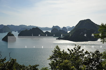 網(wǎng)貸逾期可以延遲處理(網(wǎng)貸可以逾期多久?)