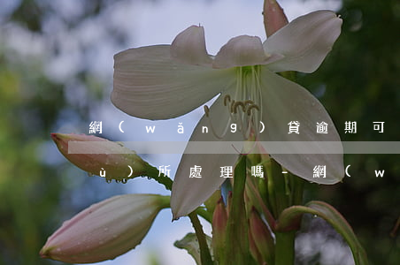 網(wǎng)貸逾期可以找律師事務(wù)所處理嗎-網(wǎng)貸逾期可以找律師事務(wù)所處理嗎