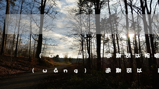 網(wǎng)貸逾期可以按揭車貸唄(有網(wǎng)貸逾期可以貸款買車嗎)