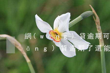 網(wǎng)貸逾期可以提前還嗎(網(wǎng)貸逾期了還能貸款嗎)