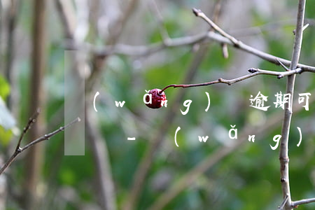 網(wǎng)貸逾期可以查詢通話記錄詳單嗎-網(wǎng)貸逾期可以查詢通話記錄詳單嗎怎么查