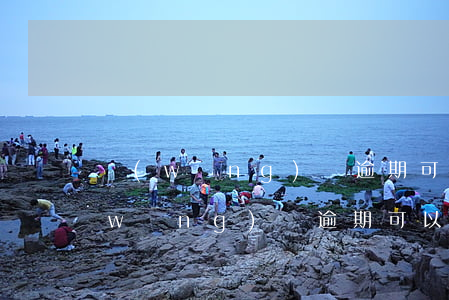 網(wǎng)貸逾期可以減免利息嗎(網(wǎng)貸逾期可以申請減免利息嗎)