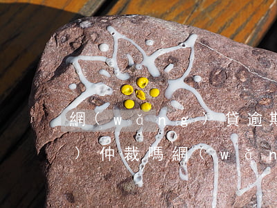 網(wǎng)貸逾期可以申請(qǐng)仲裁嗎(網(wǎng)貸逾期收到仲裁通知書該怎么辦?)