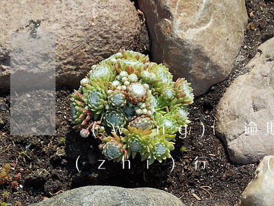 網(wǎng)貸逾期可以申請法院強制執(zhí)行嗎(網(wǎng)貸逾期被法院強制執(zhí)行)