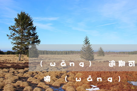 網(wǎng)貸逾期可以考公務(wù)員嘛(網(wǎng)貸逾期公務(wù)員考試政審會不會被刷)