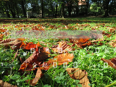 網(wǎng)貸逾期可以聯(lián)合起訴嗎(網(wǎng)貸逾期會(huì)不會(huì)被起訴?)