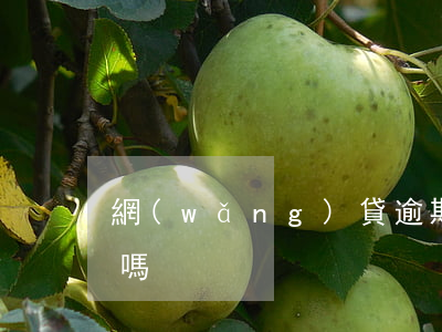 網(wǎng)貸逾期可以買機(jī)票嗎
