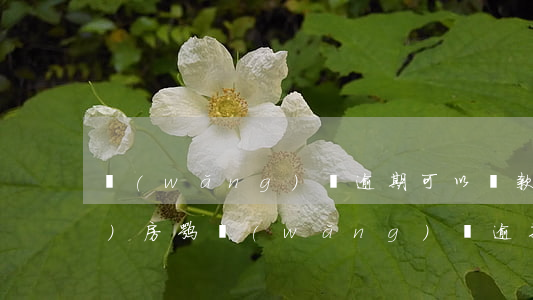 網(wǎng)貸逾期可以貸款買(mǎi)房嘛(網(wǎng)貸逾期能不能買(mǎi)房)