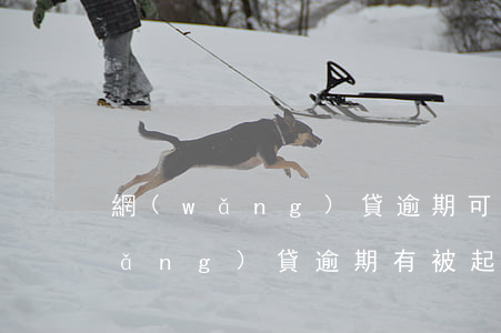 網(wǎng)貸逾期可以起訴了嗎(網(wǎng)貸逾期有被起訴的嗎)