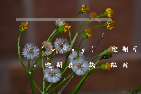 網(wǎng)貸逾期可以辦ETC嗎(etc逾期后還款還能用嗎)