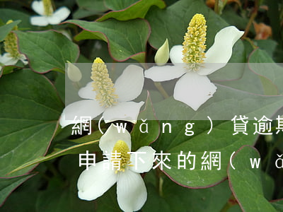 網(wǎng)貸逾期可以辦寬帶嗎(逾期能申請下來的網(wǎng)貸)