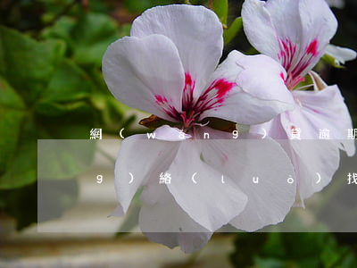 網(wǎng)貸逾期可以通過網(wǎng)絡(luò)找到位置嗎-網(wǎng)貸逾期能定位手機(jī)位置嗎
