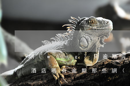 網(wǎng)貸逾期可以進(jìn)入酒店嗎(有逾期那些網(wǎng)貸能過)