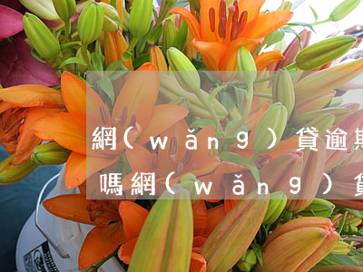 網(wǎng)貸逾期可以開發(fā)票嗎(網(wǎng)貸逾期可以開發(fā)票嗎)