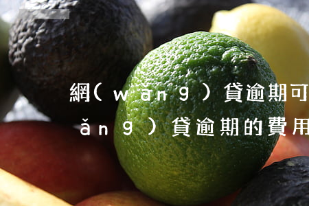 網(wǎng)貸逾期可以高消費嗎(網(wǎng)貸逾期的費用這么高怎么辦)