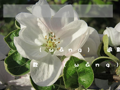 網(wǎng)貸逾期可協(xié)商還款嗎(網(wǎng)貸逾期可以協(xié)商嗎?)