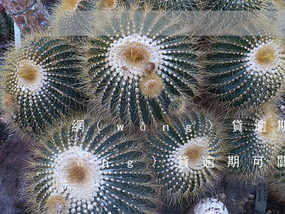 網(wǎng)貸逾期可關閉定位嗎(網(wǎng)貸逾期可關閉定位嗎)