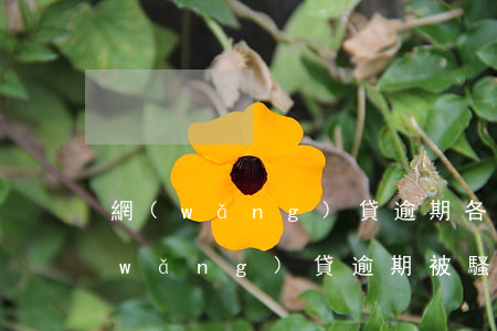 網(wǎng)貸逾期各種騷擾怎么辦(網(wǎng)貸逾期被騷擾怎么舉報(bào))
