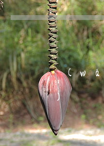 網(wǎng)貸逾期合同失效時(shí)間(網(wǎng)貸逾期多久過訴訟有效期)