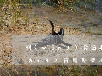 網(wǎng)貸逾期名下有全款房(網(wǎng)貸逾期要求還全款怎么辦)