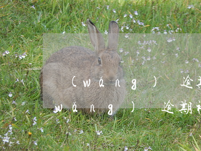 網(wǎng)貸逾期后一般催收工程(網(wǎng)貸逾期被催收可以報(bào)警嗎)