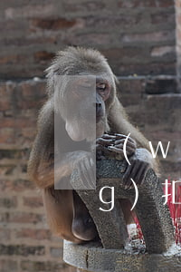 網(wǎng)貸逾期后一般自動(dòng)扣款分時(shí)間嗎-網(wǎng)貸逾期后會(huì)自動(dòng)扣款嗎