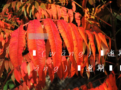 網(wǎng)貸逾期后以后的通話(網(wǎng)貸逾期會給通訊錄所有人打電話嗎)