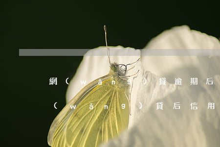 網(wǎng)貸逾期后信用卡會被降額 網(wǎng)貸后信用卡紛紛降額