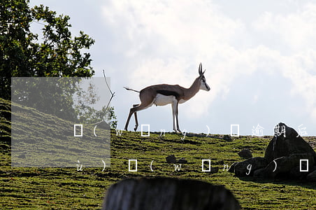 網(wǎng)貸逾期后信用怎么修復(fù)(網(wǎng)貸逾期了怎么恢復(fù)信用)
