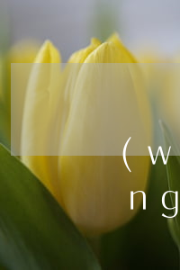 網(wǎng)貸逾期后兩次被起訴(網(wǎng)貸逾期兩千多會(huì)被起訴嗎?)