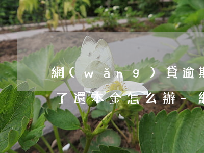 網(wǎng)貸逾期后協(xié)商不了還本金怎么辦-網(wǎng)貸逾期后協(xié)商不了還本金怎么辦呢