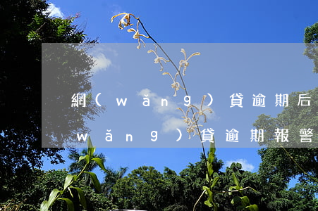 網(wǎng)貸逾期后去報警有用嗎(網(wǎng)貸逾期報警有沒有用)