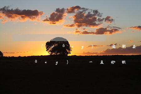 網(wǎng)貸逾期后可以拒收嗎(網(wǎng)貸一直秒拒還有能貸的嗎)