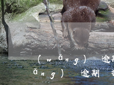 網(wǎng)貸逾期后可以賣房嗎(網(wǎng)貸逾期會拍賣房產(chǎn)嗎?)